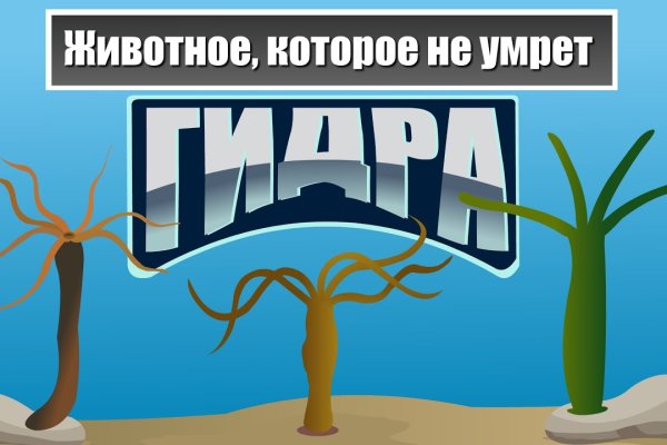 Ссылка на kraken вход