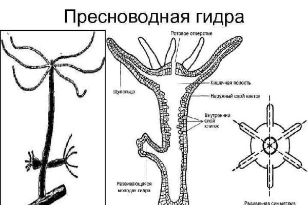 Сайт блэкспрут на торе ссылка