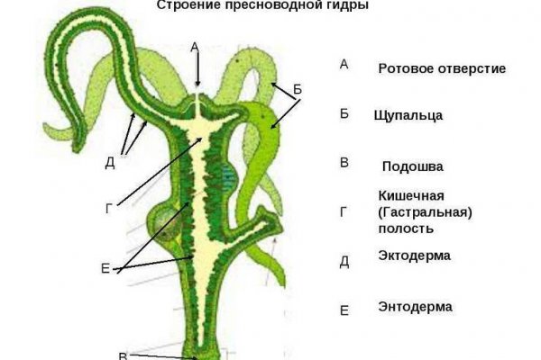 Омг сайт с наркотиками